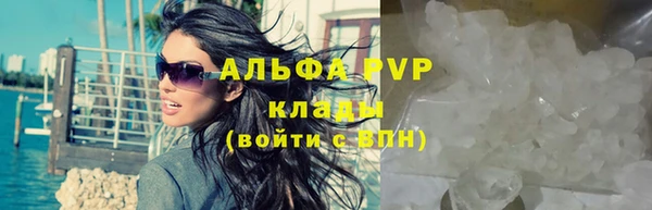 стаф Белоозёрский