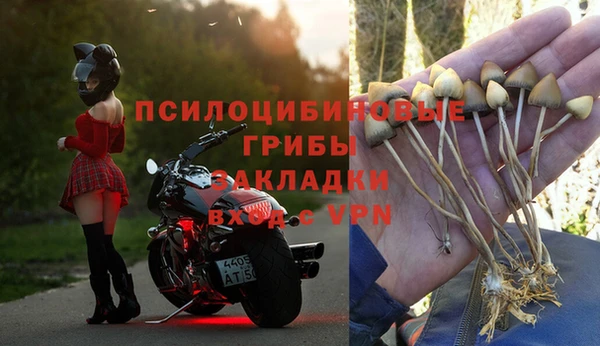 стаф Белоозёрский