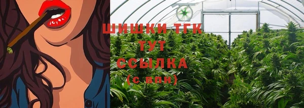 стаф Белоозёрский