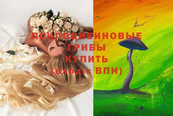 стаф Белоозёрский
