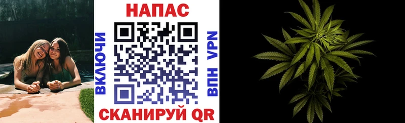 darknet телеграм Верея Бошки марихуана конопля